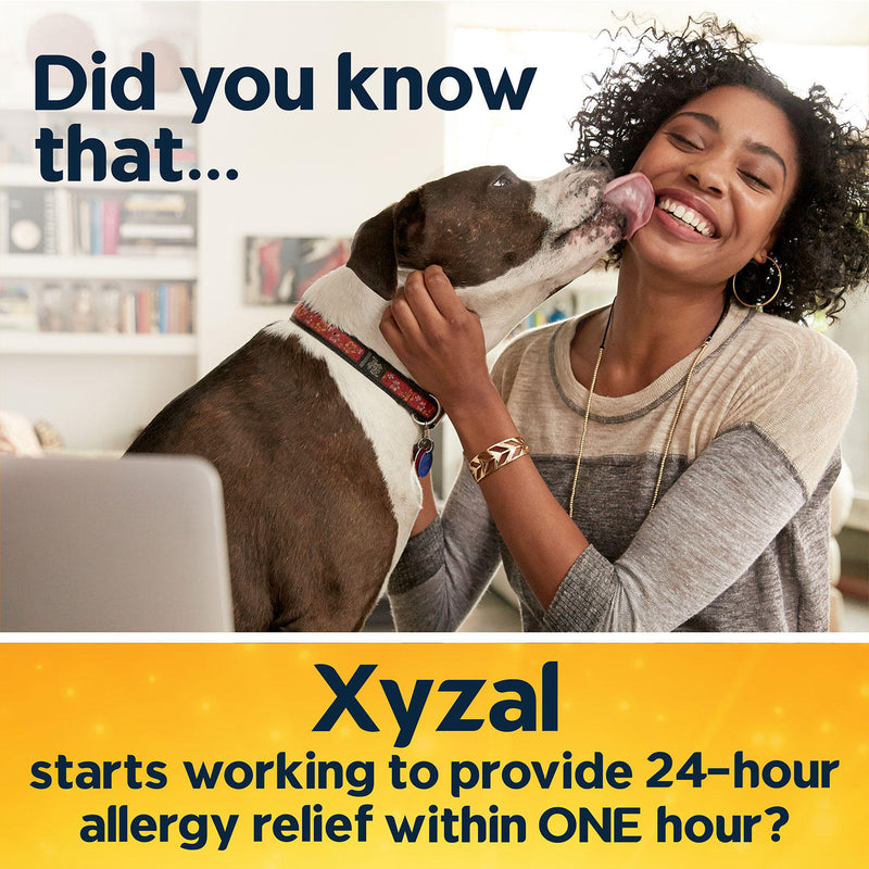 Xyzal Allergy 24 Hour (110 ct.)